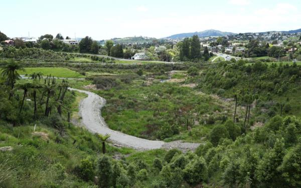 Te Pahou Reserve - single use only